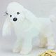 Plush White Miniature Poodle