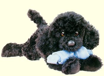 Stuffed Black Poodle Puppy