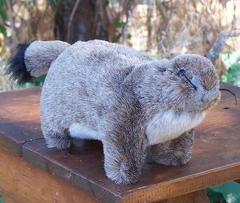 Stuffed Plush Prairie Dog