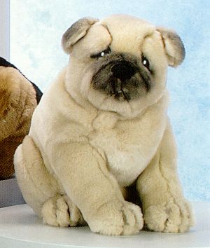 Stafford Pug Dog