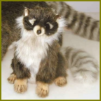 realistic raccoon plush