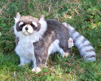 stuffed raccoon real