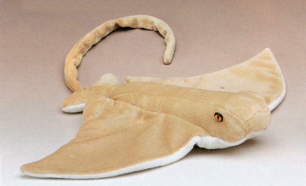 Buy Stuffed Cownose Ray