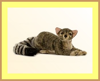 Buy Stuffed Ringtailed Cat