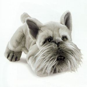 plush schnauzer