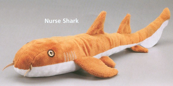 nurse shark stuffed animal