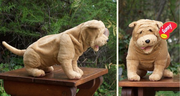 shar pei teddy bear toy