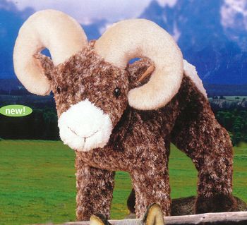 Stuffed Big Horn Sheep