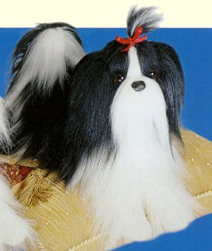 Shih Tzu Dog