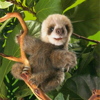 Folkmanis Plush Baby Sloth Stuffed Animal