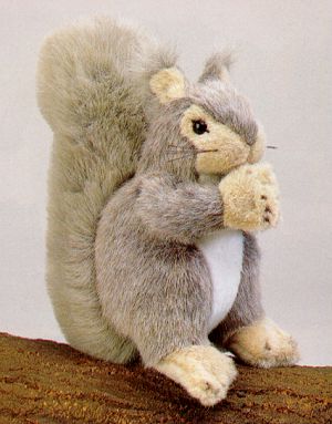 Grey Squirrel
