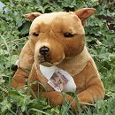 american staffordshire terrier stuffed animal