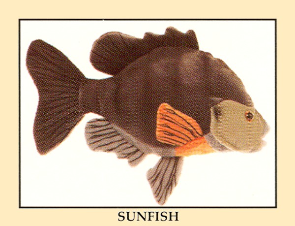 Buy Stuffed Sunfish