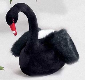 Black Swan