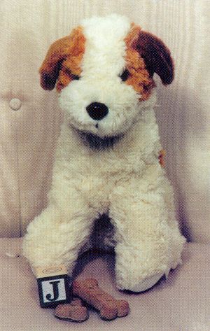 Fox Terrier Dog