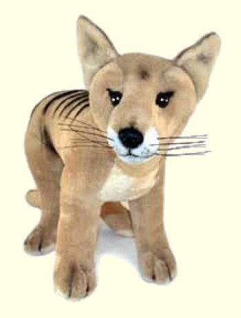 Buy Stuffed Tasmanian Tiger