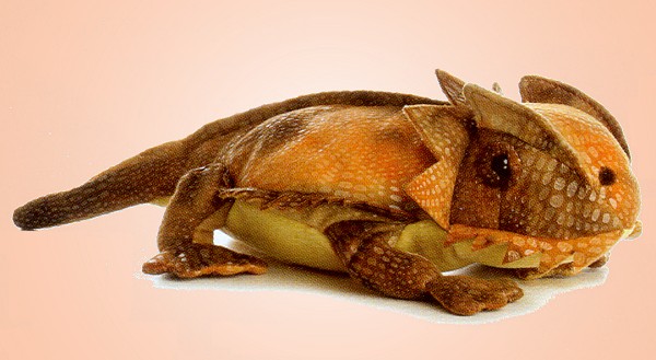 Horned Toad Stuffed Animal