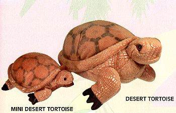 Stuffed Plush Desert Tortoise