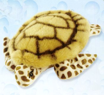 Stuffed Loggerhead Turtle