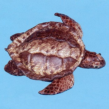 Sunny & Co. Stuffed Loggerhead Turtle