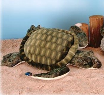 Fiesta Sea Turtle