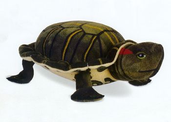 Painted Turtle