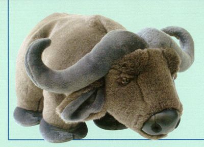 Water Buffalo