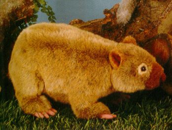 Wombat