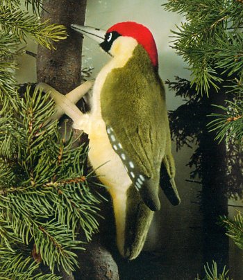 Kosen Stuffed Plush Eurasian Green Woodpecker