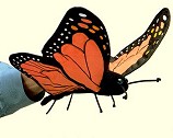 Folkmanis Plush Monarch Butterfly
