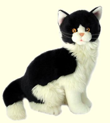 Bocchetta Angus Black and White European Cat