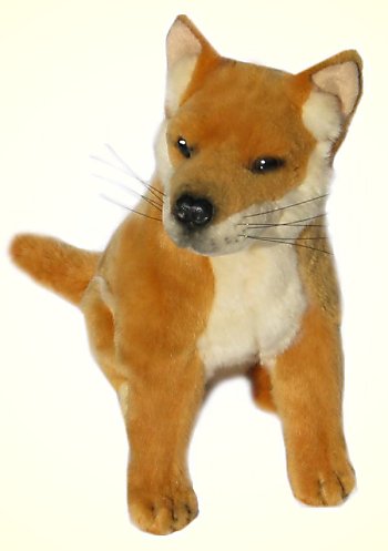 Bocchetta Byron Stuffed Plush Sitting Dingo
