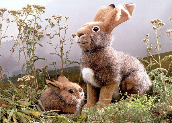 Kosen European Stuffed Plush Hares