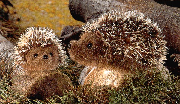 Kosen Lifelike Stuffed Mohair Hedgehog Made in Germany