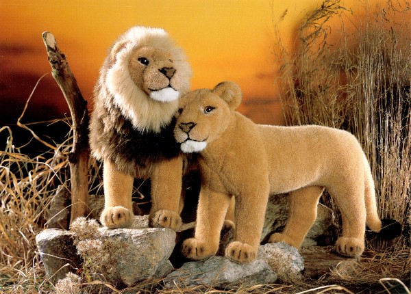 Kosen Stuffed Plush Lion and Lioness