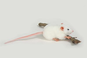 Hansa Plush White Mouse