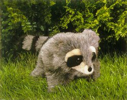 Folkmanis Stuffed Baby Raccoon