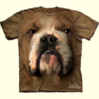 Bulldog Face T-Shirt from The Mountain