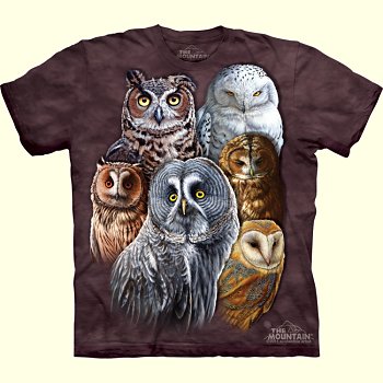 Owl Collage T-Shirt from The Mountain