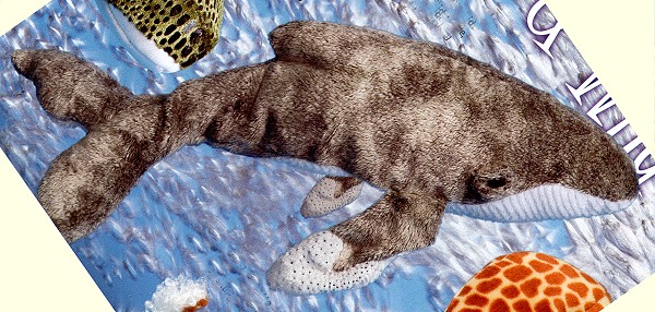 Douglas Stuffed Plush Humpback Whale