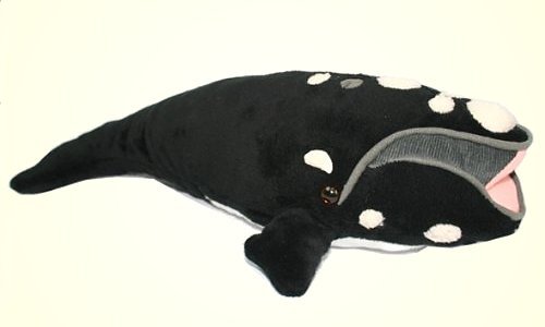 North Atlantic Right Whale Plush Animal